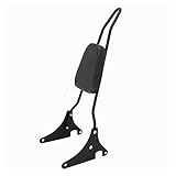 OMDHATU Motorcycle Backrest Sissy Bar For Kawasaki For Vulcan 400 800 VN400 VN800 1996-2012 2013 2014 2015 2016 2017 2018 2019 Motorcycle Accessories (Color : 1)