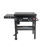 Char-Griller® Flat Iron 2-Burner Propane Gas Flat-Top Griddle with Steel Griddle Top, Wind Guards and Removable Lid, 520 Cooking Square Inches in Black, Model 8128