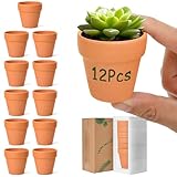 T4U 6.5CM Terracotta Plant Pots 12 Pcs, Mini Terracotta Pots with Drainage Holes, Small Clay Pots for Crafts, Small Plant Pots for Succulent Cactus Plants, DIY Mini Flower Pot, Gifts for Party Decor
