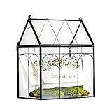 NCYP Geometric Glass Terrarium Planter with Lid for Cacti, Small Succulent Plant, 19 x 12.5 x 23 cm - Home Indoor Tabletop Closed Decorative Box, Black (Terrarium Only)