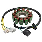 WOOSTAR 12 Coil 5 Wire Magneto Stator Replacement for Hyosung 2002-2010 GT125 GT250 GV125 GV250 GV125R GV250R Pocket Bike Cruiser Motorcycle Engine
