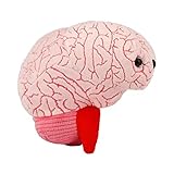 GIANTmicrobes Brain Organ Plush - Adorably Realistic Plush Brain Organ Educational Biology Gift, Great tool for Educators, Excellent Gift for Doctors, Nurses, Teachers, and Scientists