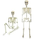 Halloween Decoration Life Size Poseable Skeleton 165cm – Realistic Human Skeleton Prop with Movable Joints -Haunted House Graveyard Scene Halloween Pirate Horror Themed Parties