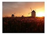 500 Piece Jigsaw Puzzle for Adults & Kids-Mills,Field,Decline,Orange,Sun,Silence 52x38cm