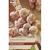 Garlic 'Kingsland Wight' 1 x Bulb. Grow Your own Veg Bulbs. Taylors Available from Bedwen Plants