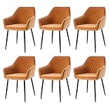 AINPECCA Set of 6 Dining Chairs Orange Velvet Armchairs with Armrest & Backrest Upholstered Seat with Black Metal Legs (Orange Vevlet,6)