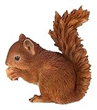 Real Life Baby Red Squirrel | Resin Home or Garden Decoration | XRL-RS01-F