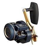 DAIWA 21 Saltiga IC 300HL-SJ