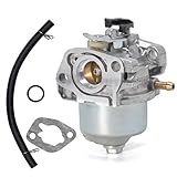 Hoypeyfiy Carburetor Carb for Mountfield Champion SV150 RV150 M150 RM45 V40 V35 Petrol Lawn Mower