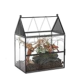 NCYP 19 x 12.5 x 23 CM Glass Enclosure with Vent Holes for Insect, Snails - Front Opening Door Small Succulent Terarium - House Shape, Home Indoor Decor, Black (No Plants)