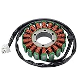 WOOSTAR 18 Coil 3 Wire Stator Magneto Replacement for Triumph Speed Triple Sprint GT ST Tiger 1050 Daytona 955i OEM T1300111 T1300509 T1300510 T1300507 Motorcycle