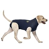 MPS Medical Pet Shirt Dog, Surgery Recovery Suit, Blue, Medium +