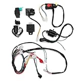 Hoypeyfiy Wiring Coil Loom Ignition System CDI Spark Plug Kit for 50cc 70cc 90cc 110cc PIT Quad Dirt Bike ATV Dune Buggy