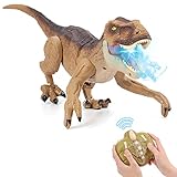 NEXBOX Remote Control Dinosaur Toys for Boys RC Dinosaur Robot T Rex Walking Jurassic Dino Birthday Gift for Kids 3 4 5 6 7 8 9 Years Old Realistic Sounds and Spray