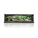 Swell Reptiles Glass Terrainium Kit 50cm x 30cm x 15cm. Ideal for Reptiles.