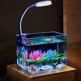 Aptliton Aquarium Fish Tank, Transparent Aquarium Tank with Clip On Lamp, Small Desktop Fish Tank Kit Decorative for Betta Fish, Shrimp, Goldfish On Living Room Office(15x11x13 cm)