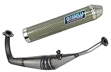 giannelli full system exhaust homologated nocat street 2t made in kevlar compatible with honda nsr 125 r 1992 1993 1994 1995 1996 1997 1998 1999 2000 2001 mototopgun 53501 + 53502