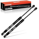 Frankberg 2x Gas Struts Tailgate Compatible with C3 PICASSO SH_ All Enigne MPV 2009-2019 Replace# 8731S8