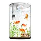 Fish Tank Night Light, Zingbabu 3 Gallon Aquarium Starter Kit with Full Spectrum Aquarium Light and Filter For Small Fish Betta Kids Room Desktop Decor White