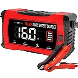 HTRC 16A Car Battery Charger, 6V/12V/24V LiFePO4 Battery Charger, Battery Maintainer Trickle Charger for Boat, Motorcycle, Lithium, LiFePO4 and Lead-Acid(AGM, GEL, MF, EFB, SLA, WET)