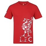 Liverpool FC Official Football Gift Mens Graphic T-Shirt Red Medium