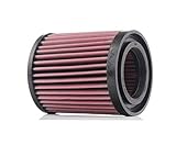 K and N E-1983 Washable and Reusable Car Air Filter