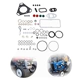 Parts DPA CAV Injector Pump Repair Kit Set Gasket Seal Replacement for 7135-110 Massey 3000 4000 7600 Lucas Pump