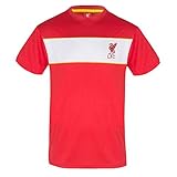 Liverpool FC T-Shirt Mens Poly - Official Gift - Red White Stripe Large