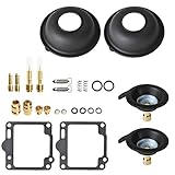 ALL-CARB 2-Piece Carburetor Carb Repair Rebuild Kit Replacement for Yamaha Virago XV 750 1988-1997