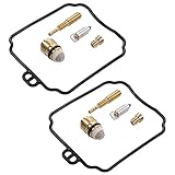 Dioche Carburetor Rebuild Kit for Hyosung GV 250, Carburetor Repair Kit Metal Rubber Carb Rebuild Overhaul Set Replacement for Hyosung GV 250