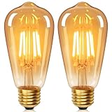 YUNRRD Vintage Light Bulb E27 Screw LED Edison Bulb ST64,4W Equivalent to 40 Watt,Retro Amber Warm Glass Screw Lamp,2700K Warm White,Non-dimmable,Screw LED Filament Lamp Squirrel Cage，2 Packs