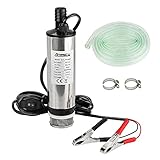 Anesty Water Pump 12V Φ51mm Diesel Fuel Transfer for Water Oil Liquid, Stainless Steel Submersible With Clip, Filter Removable | 3m Power Cord + Hose