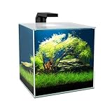 Ciano Cube Glass Aquarium Includes LED Lights & Filter (Cube 15 (14 Litres))