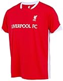 Liverpool F.C. Men's Red Short Sleeve Football Jersey, Size M