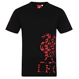 Liverpool FC Official Football Gift Mens Graphic T-Shirt Black XL