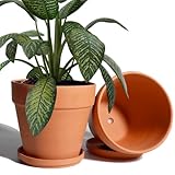vensovo 20CM Clay Pot for Plant with Saucer - 2 Pack Large Terra Cotta Plant Pot with Drainage Hole, Clay Planters Pot, Terracotta Pot for Indoor Outdoor Plant