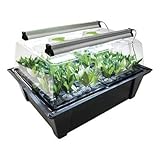X-Stream - Aeroponic Misting Propagator With T5 Lights (X-Stream - 40 Site + 2x45cm T5 lights)