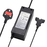 Dynamic Smart 12 Volt 4 Amp, Two Stage, Heavy Duty, Golf Battery Charger for Powakaddy/Hillbilly Lead Acid Batteries with T Bar Connector