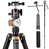 TARION Carbon Fiber DSLR Tripod: 67"/170cm Professional with Dual Panoramic Ballhead, Cold Shoe Extension Mount, Travel Tripod for Camera & Camcorder