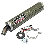 Giannelli Aramid exhaust system with ABE for Honda NSR 125 2T