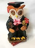 Regency Fine Arts Graduation Owl In Bag Ornament 10cm - Pink