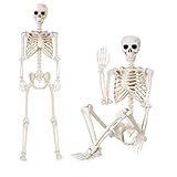 Halloween Skeleton Decorations - 5.4Ft/165cm Life Size Skeleton, Realistic Full Body Human Bones with Posable Joints Ideal for Halloween Outdoor Indoor Decorations and Haunted House Spooky Party Props