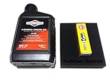 Wadoy Mountfield Lawn Mower Service Kit Suitable for RV150,SV150 & V35 Engines