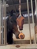 Ruggles Horse Stable Toy | Boredom buster for horse pony donkey (Horse Head)