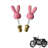 2pcs motorcycle mirror plugs Compatible with BMW R69 S,personalized decoration, with soft cushioning rubber,tuning decorative accessories(pink)