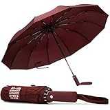 TANNESS Windproof Umbrella – 10-Rib Waterproof & Compact with Automatic Open/Close Function and Ergonomic Handle – Folding Mini - Strong for Wind and Rain (Red)