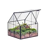 NCYP Mini Glass Geometric Plant Terrarium with Lid - 10.8x10.8x12.5 cm - Black Close Planter Pot for Small Succulents Air Plants - Handmade, Home Garden Office Tabletop Decor (Terrarium Only)