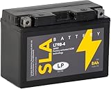 Landport SLA Ready To Use Starter Battery 12 Volt, 8 Ah/10hr, 115 CCA, AGM Technology-Ideal For Motorcycles & Powersport Vehicles Fits Yamaha XT 660 Z Ténéré (DM02) 2008-2013 MS LT9B-4
