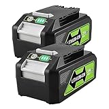 aunstarwei 2 Packs 24V 4.0Ah Replacement Battery for Greenworks 24V Battery 29842 29852 BAG708 BAG711 Compatible with Greenworks 24V Cordless Tools 20352 22232 2508302