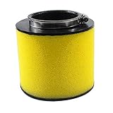 Cyleto Air Filter for Honda 300 Fourtrax 350 Rancher TRX350FE TRX350FM TRX 350 TE TRX350TM TRX400 Rancher AT TRX450S 450ES Foreman 17254-HN5-670
